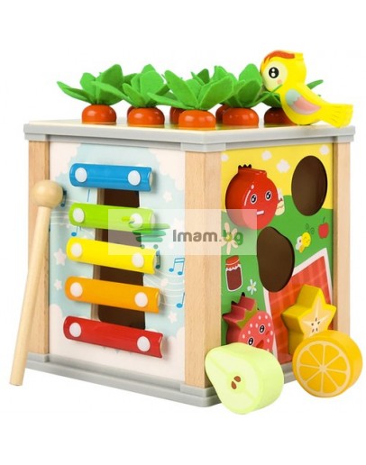 Дървен многофункционален сортер куб 5в1